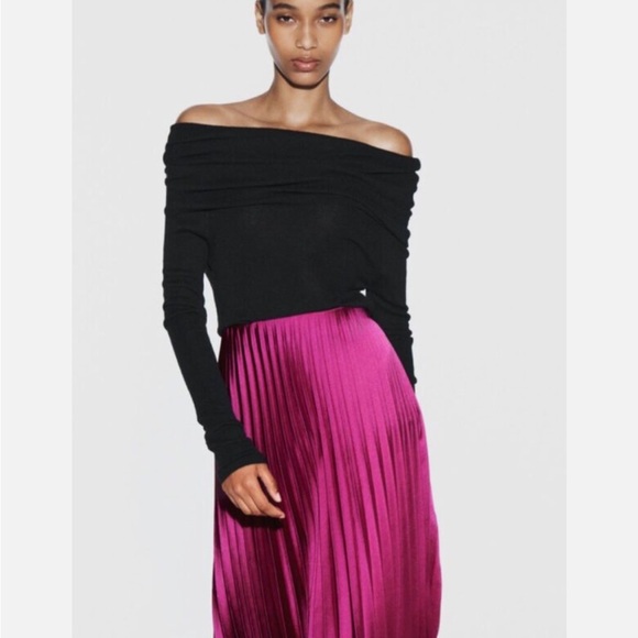 Zara Velvet Pleated Skirt - Picture 1 of 11